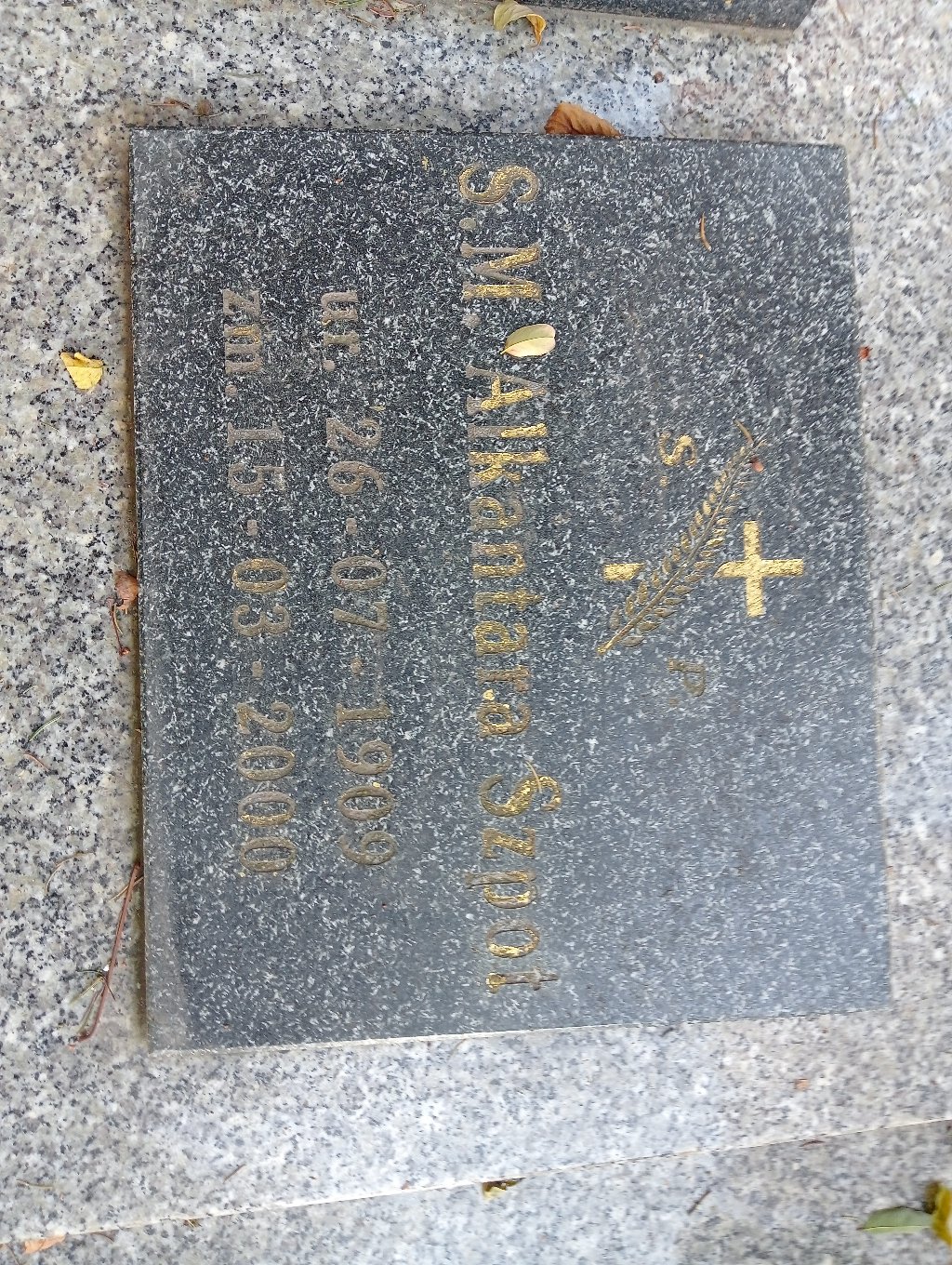 Zdjęcie grobu